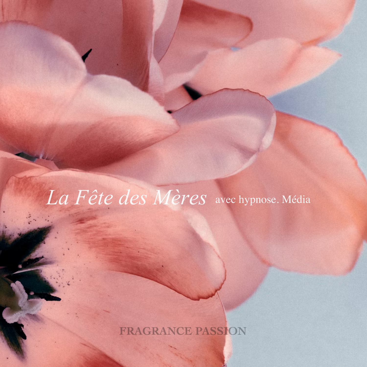 Sélection spéciale Fête des mères