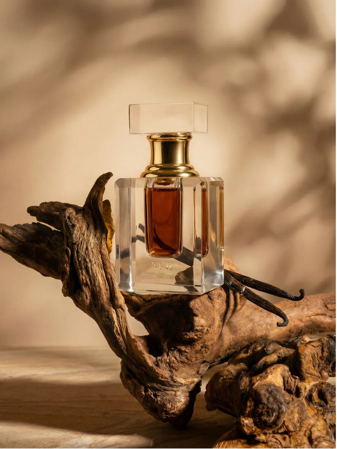 OUD BURMI PLANIFOLIA - NUR