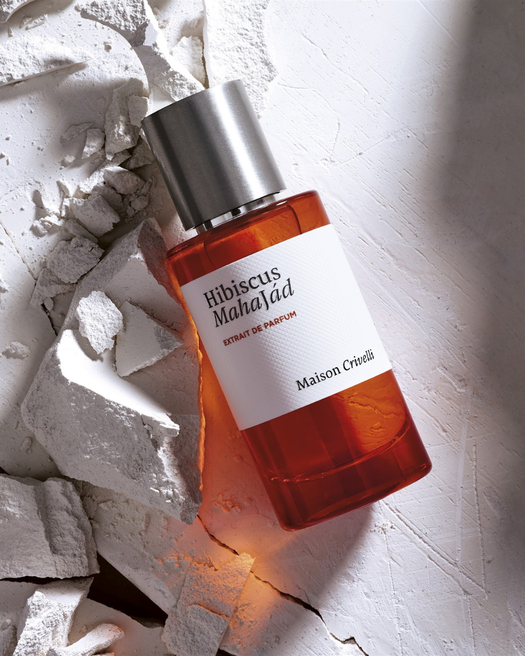 HIBISCUS MAHAJAD - MAISON CRIVELLI