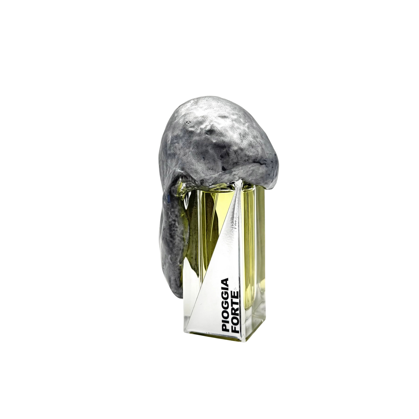 PIOGGIA FORTE - FILIPPO SORCINELLI