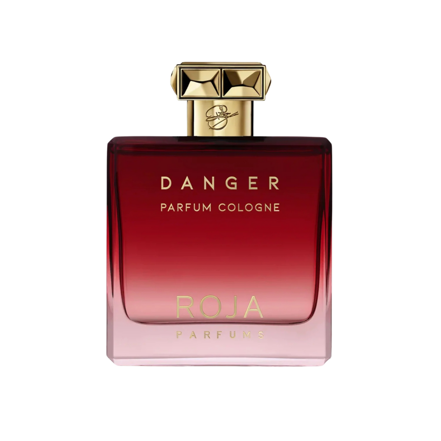 DANGER POUR HOMME COLOGNE - ROJA