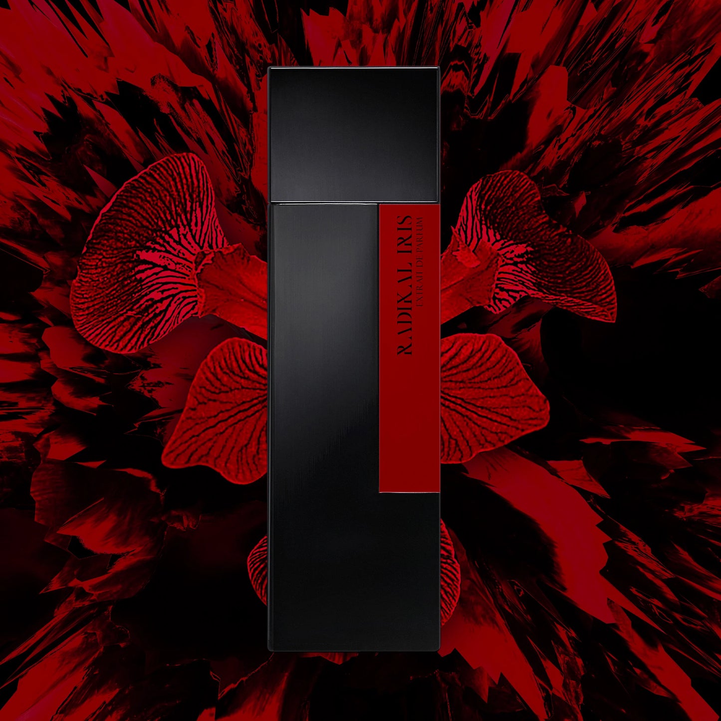 RADIKAL IRIS - LAURENT MAZZONE