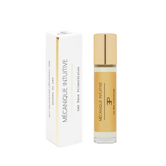 MECCANICA INTUITIVA - LE ACQUE PRIMORDIALI