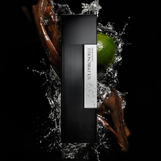 VOLO DI RONDINE - LAURENT MAZZONE