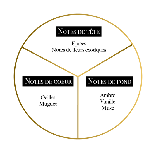 1000 EXCUSES - MARTIL