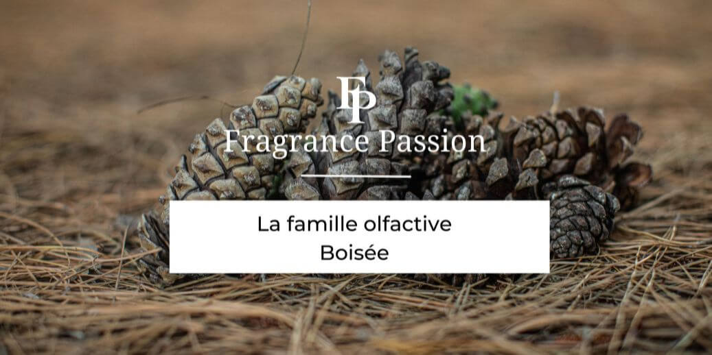 La Famille olfactive Boisée