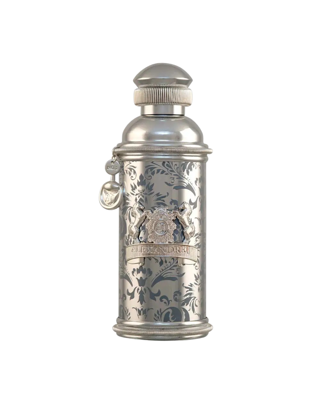 SILVER OMBRE - ALEXANDRE.J