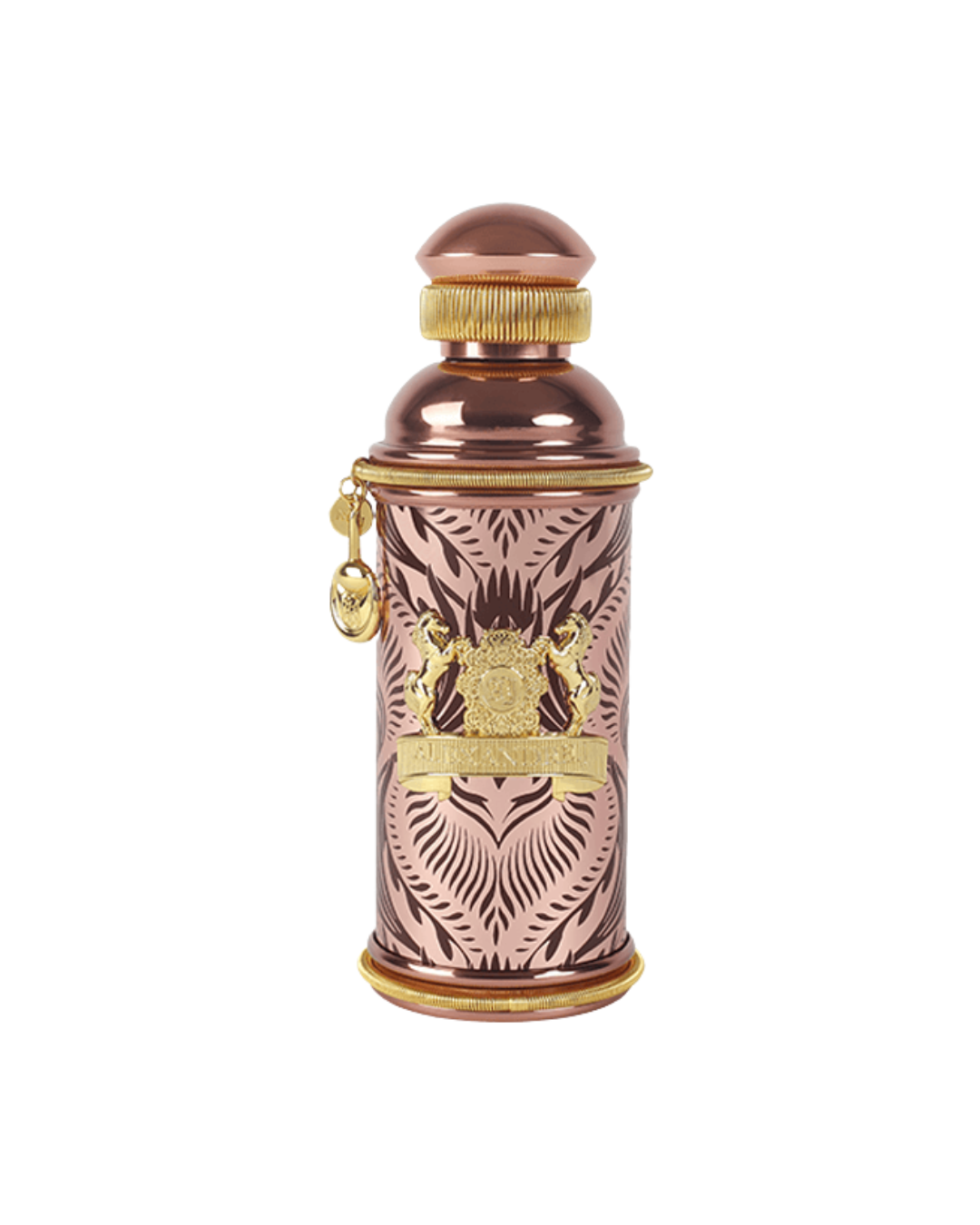 MORNING MUSCS - ALEXANDRE.J