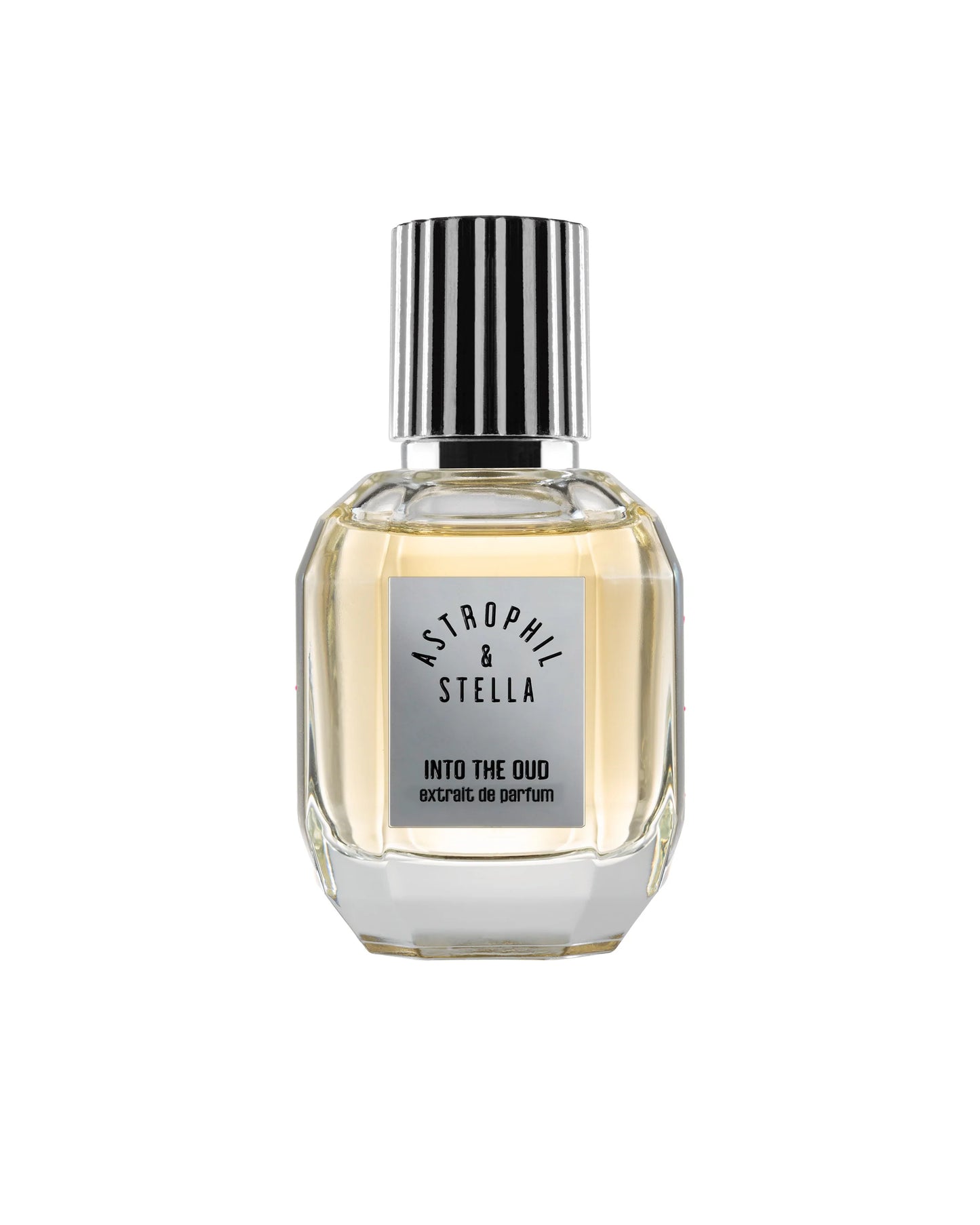 INTO THE OUD - ASTROPHIL & STELLA