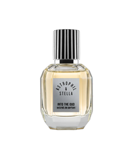 INTO THE OUD - ASTROPHIL & STELLA