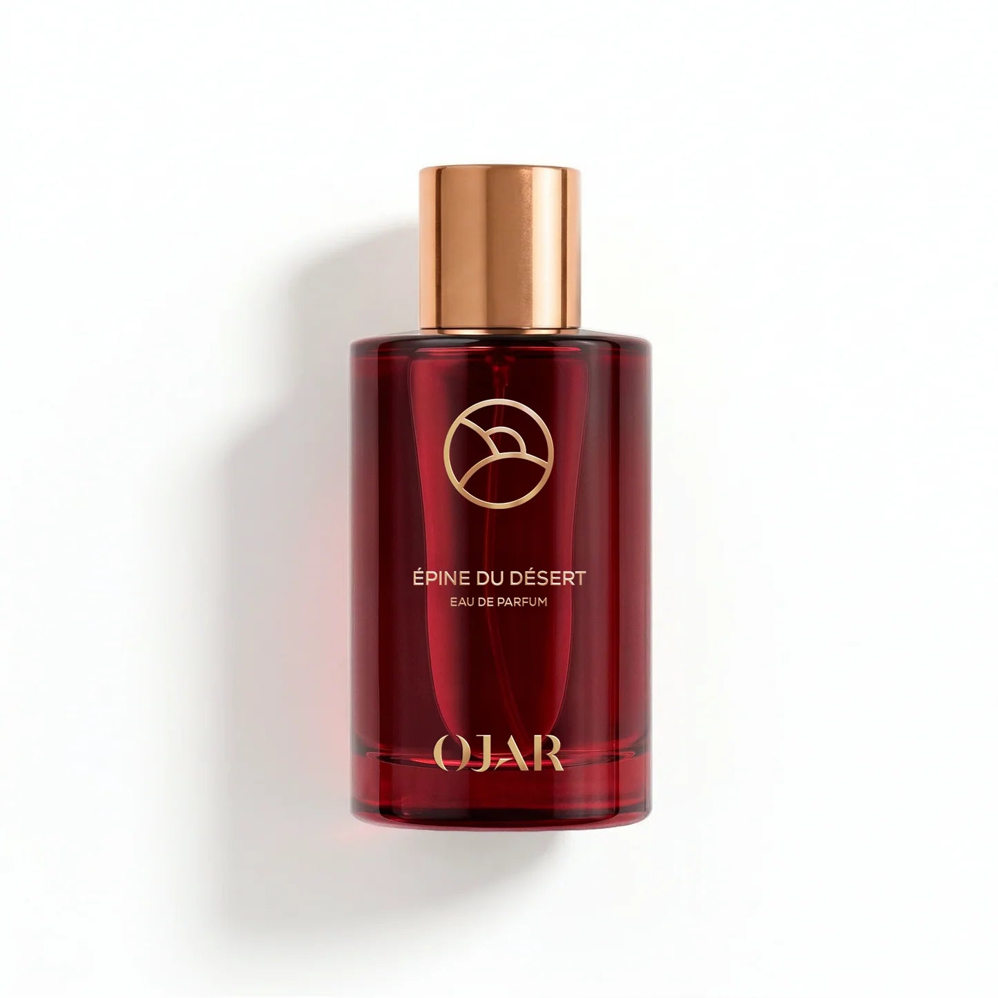 EPINE DU DESERT - OJAR