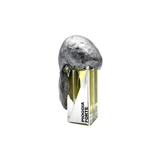 PIOGGIA FORTE - FILIPPO SORCINELLI