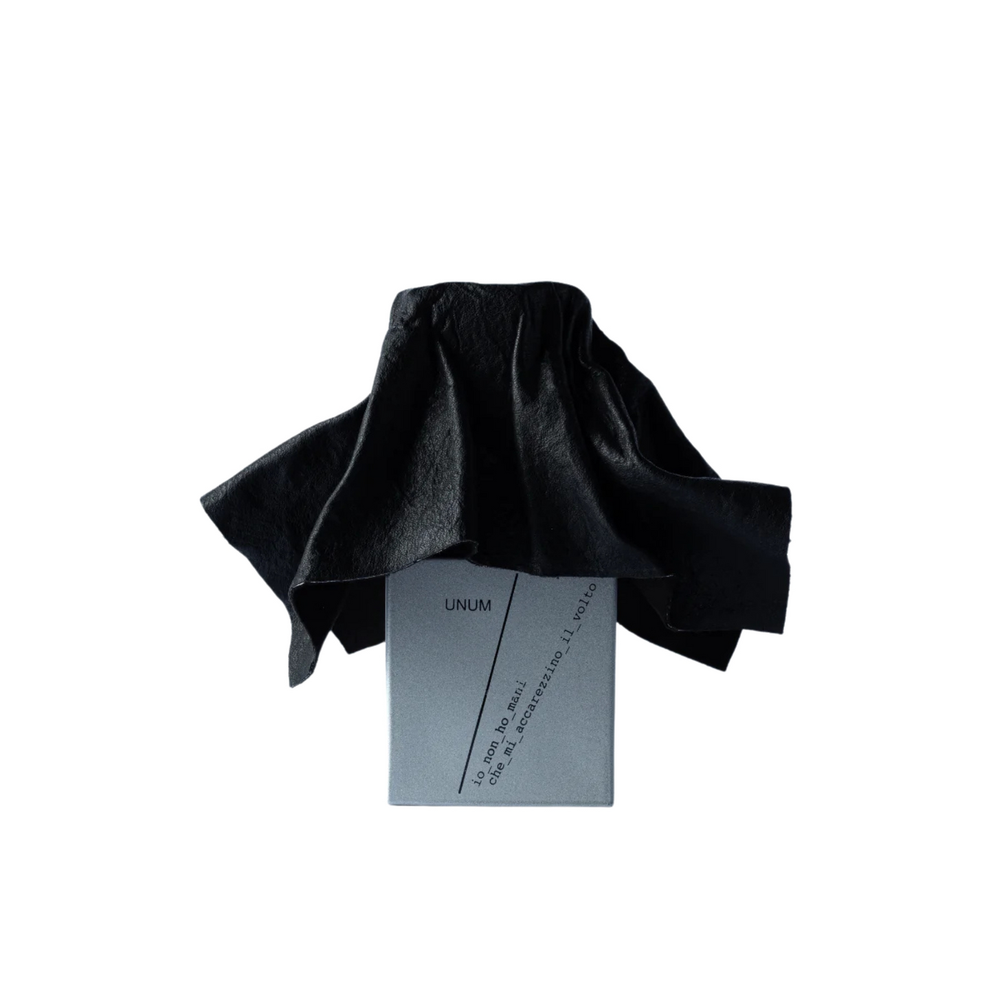 IO NON HO MANI CHE MI ACCAREZZINO IL VOLTO - FILIPPO SORCINELLI