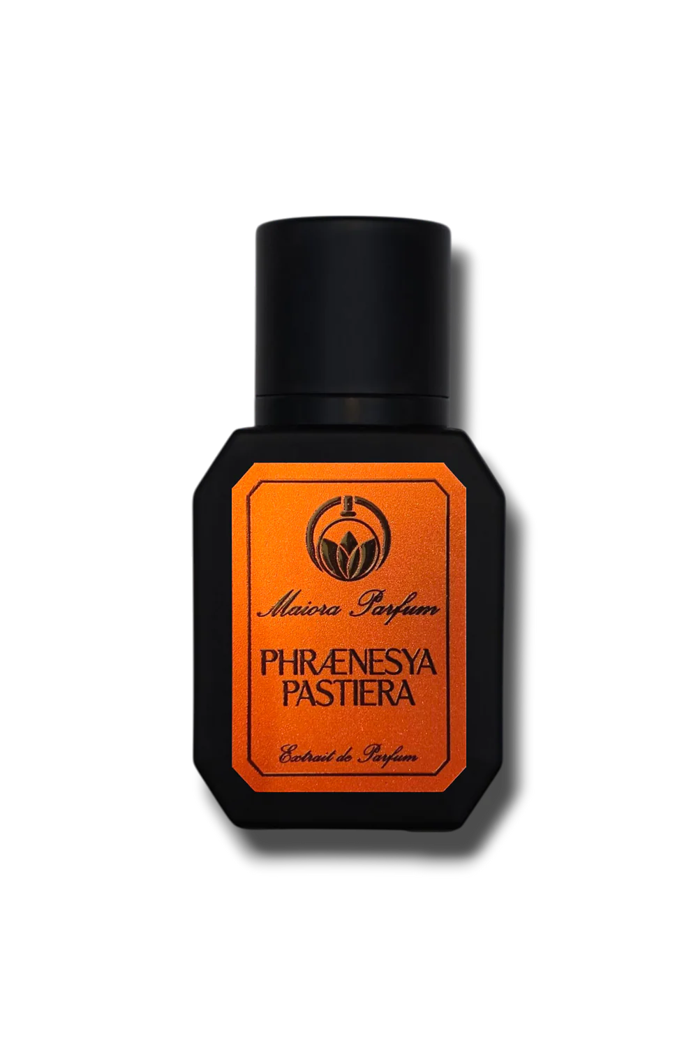 PHRAENESYA PASTIERA - MAIORA