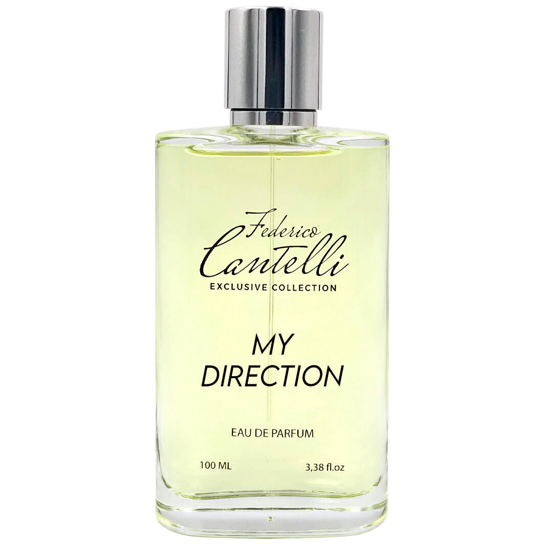 MY DIRECTION - FREDERICO CANTELLI