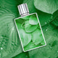 MINT VIBES - FEDERICO CANTELLI