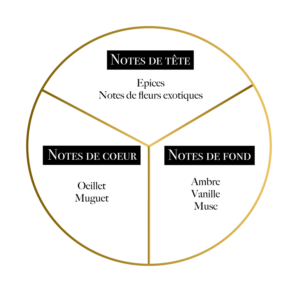 1000 EXCUSES - MARTIL