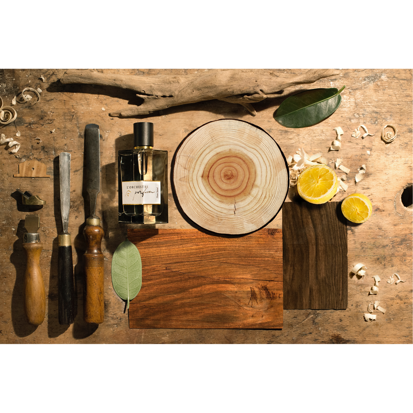 PIANO SANTAL - L'ORCHESTRE PARFUM