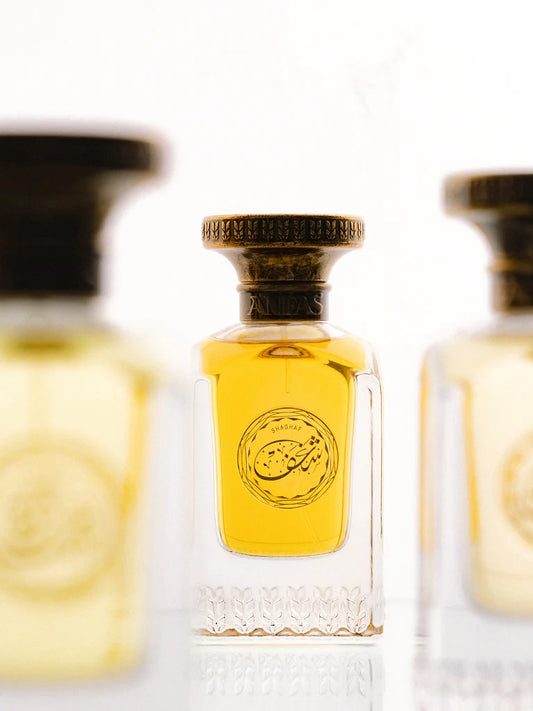 SHAGHAF - ANFAS