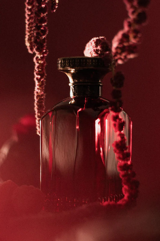 SHAOUQ - ANFAS